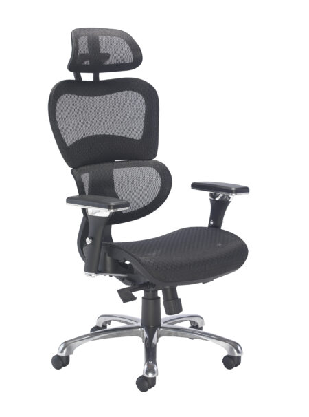 Chachi Ergonomic Office Chair | Black