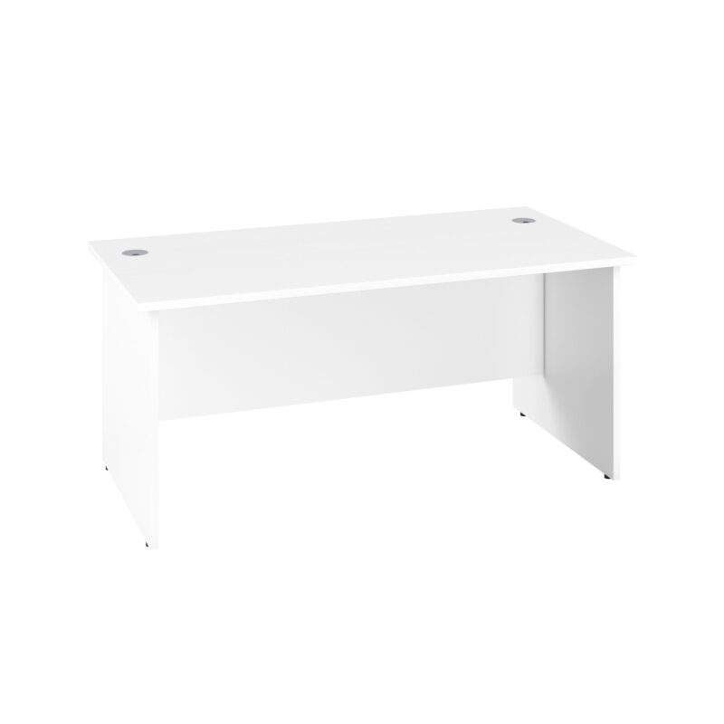 Panel Rectangular Desk: 600mm Deep | 1600X600 | White/White