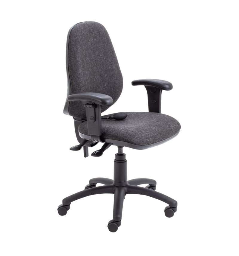 Calypso Ergo 2 Lever Office Chair With Lumbar Pump and Adjustable Arms | Charcoal