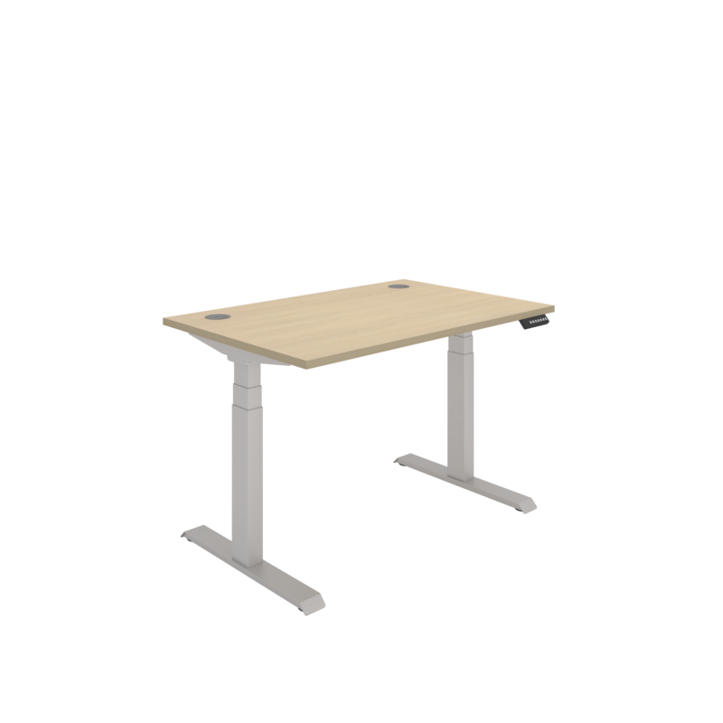 Office Rectangular Dual Motor Sit Stand Desk  | 1200X800 | Oak/Silver