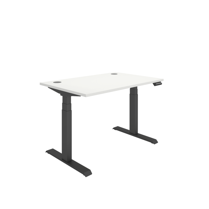 Office Rectangular Dual Motor Sit Stand Desk  | 1200X800 | White/Black