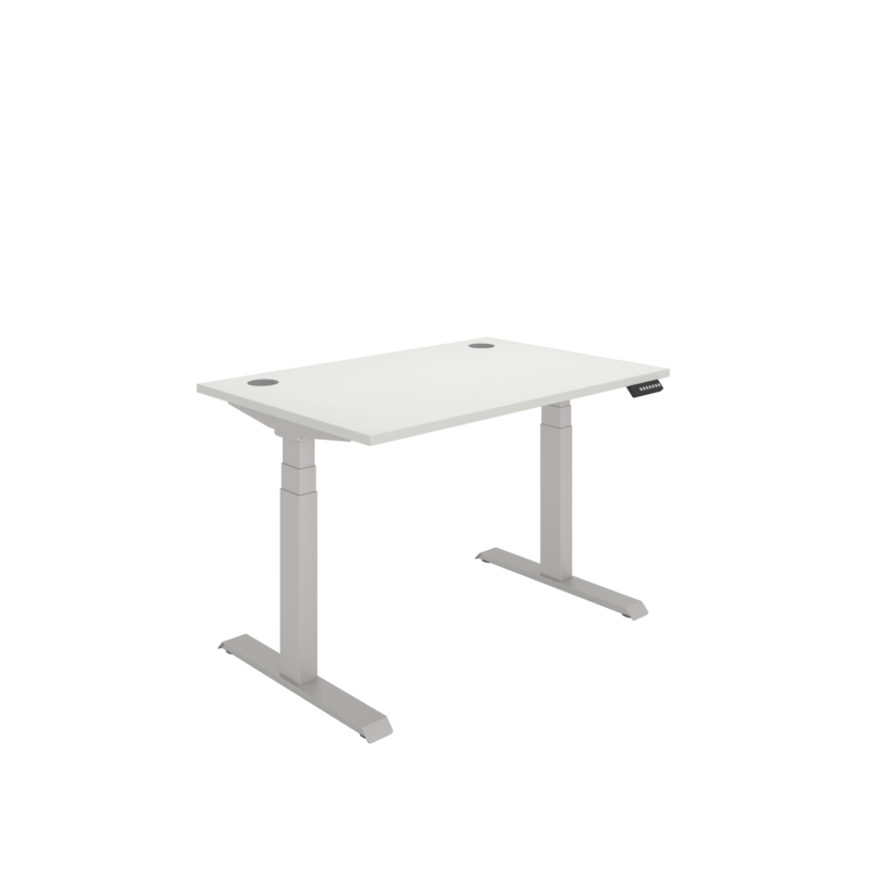 Office Rectangular Dual Motor Sit Stand Desk  | 1200X800 | White/Silver