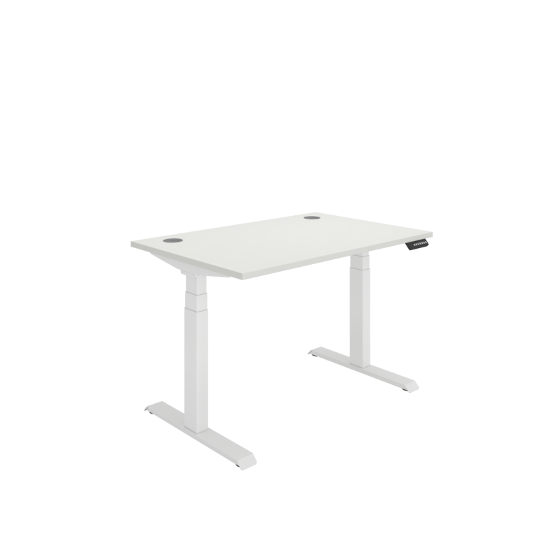 Office Rectangular Dual Motor Sit Stand Desk  | 1200X800 | White/White