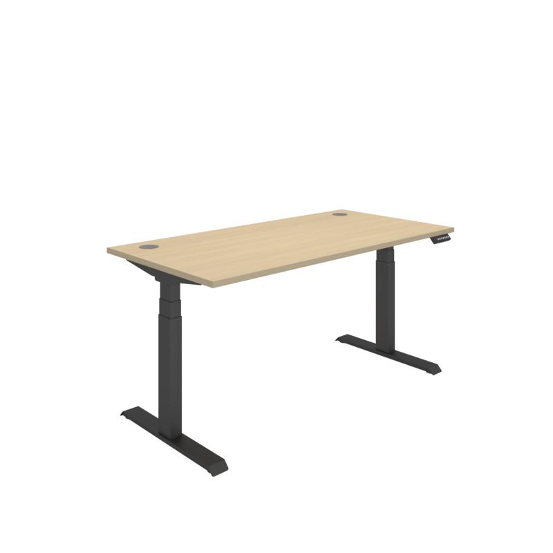 Office Rectangular Dual Motor Sit Stand Desk  | 1600X800 | Oak/Black