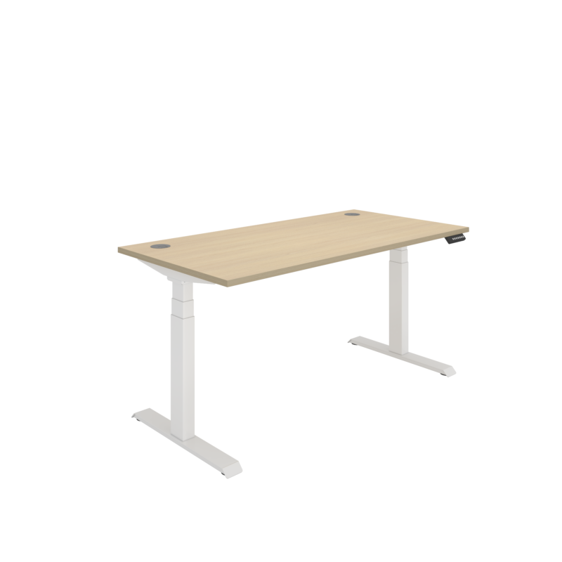 Office Rectangular Dual Motor Sit Stand Desk  | 1600X800 | Oak/White