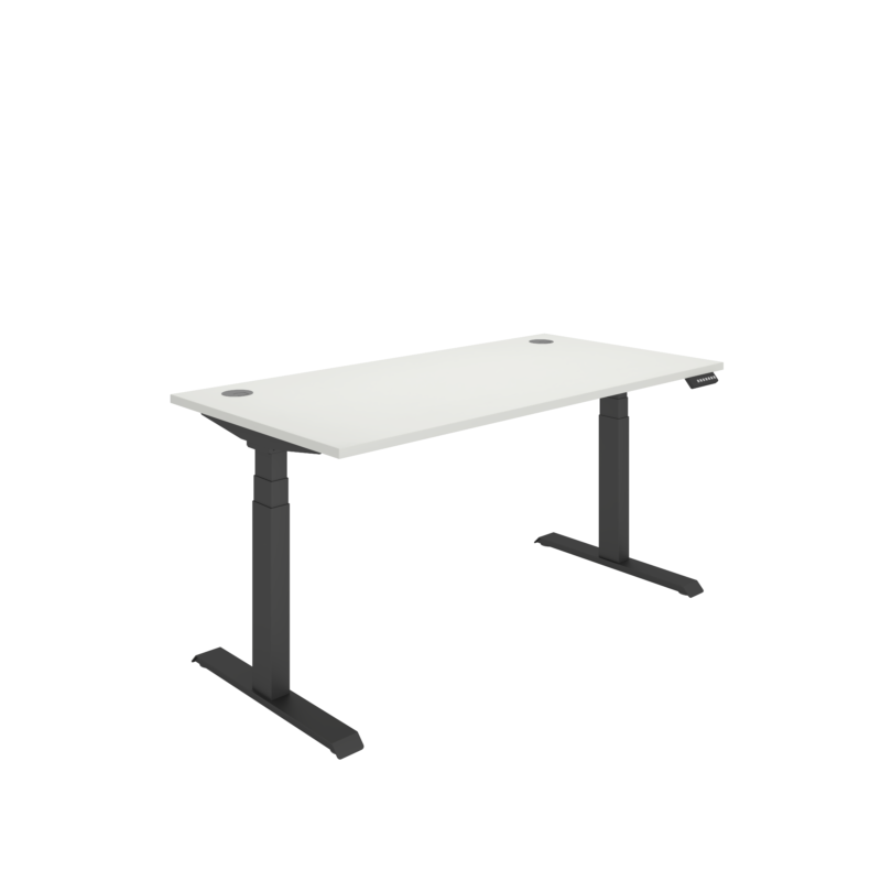 Office Rectangular Dual Motor Sit Stand Desk  | 1600X800 | White/Black