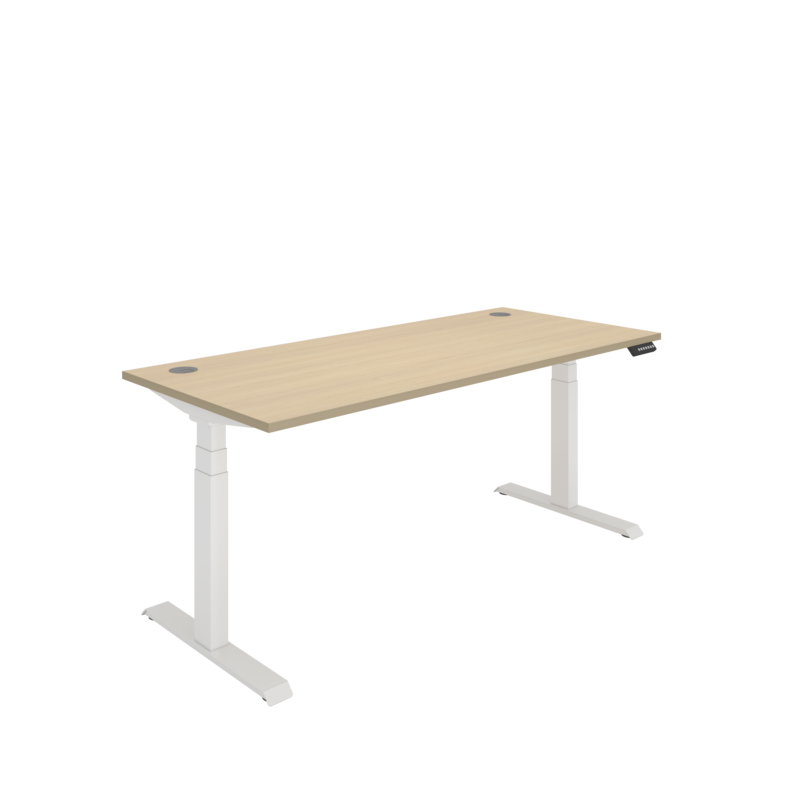 Office Rectangular Dual Motor Sit Stand Desk  | 1800X800 | Oak/White