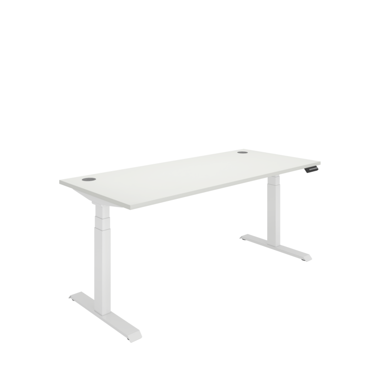 Office Rectangular Dual Motor Sit Stand Desk  | 1800X800 | White/White